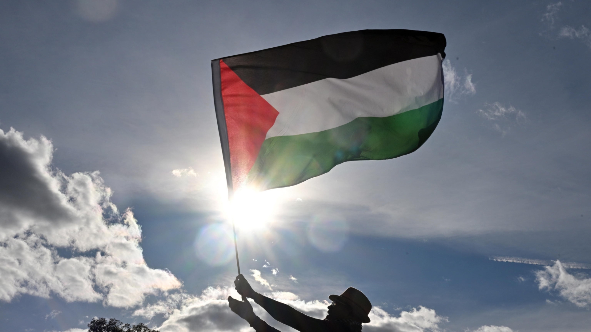 Film Workers for Palestine: la lettera dei lavoratori cinematografici contro MUBI