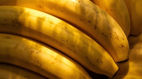 Le banane del Mediterraneo: cambiamento climatico modifica la geografia dall’agricoltura