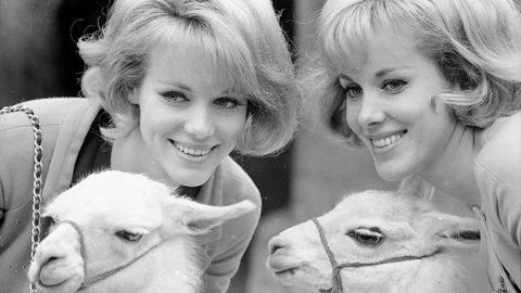 Alice ed Ellen Kessler: l’ultimo ballo insieme è con la morte