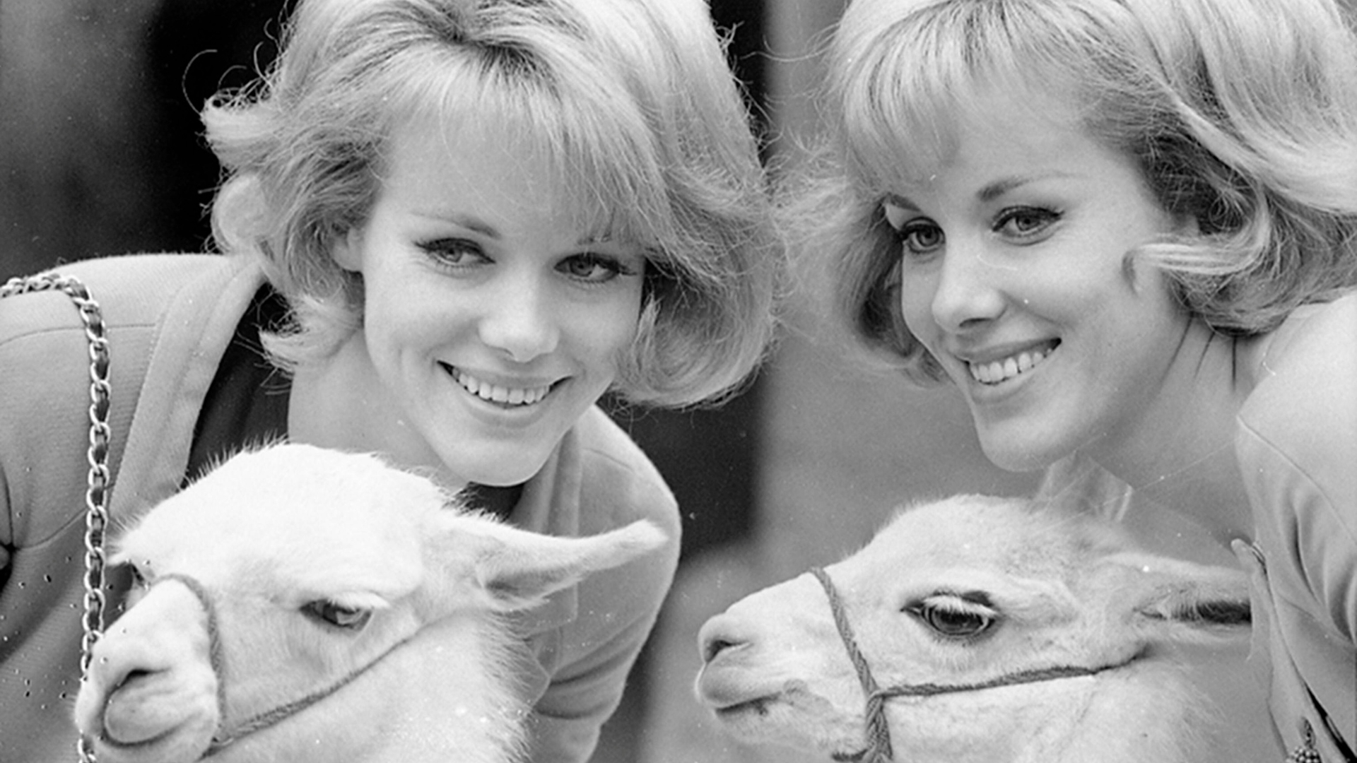 Alice ed Ellen Kessler: l’ultimo ballo insieme è con la morte