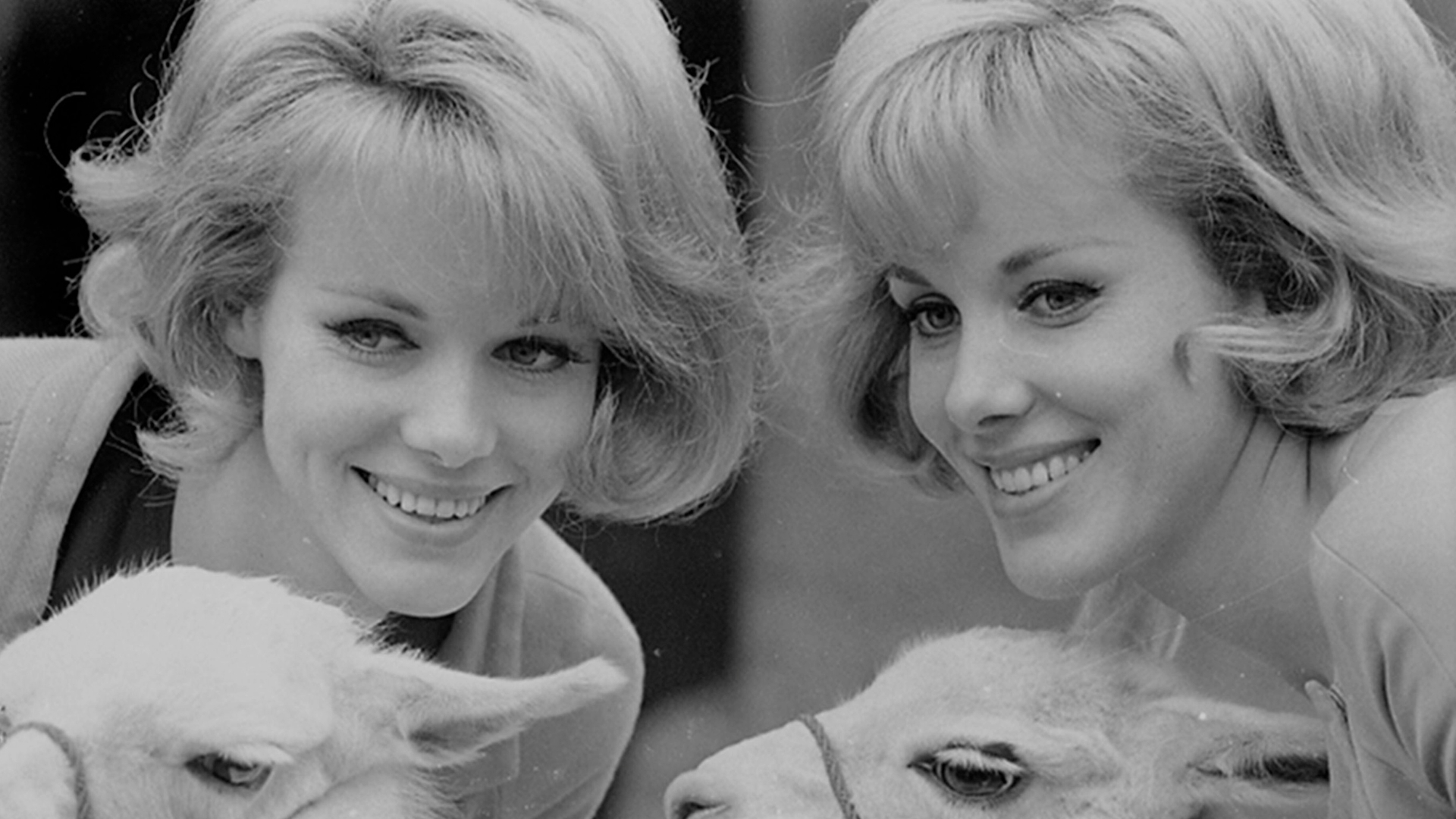 Gemelle Kessler slider