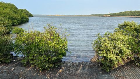 Barranquilla. Recupero idraulico e naturalistico dei canali
