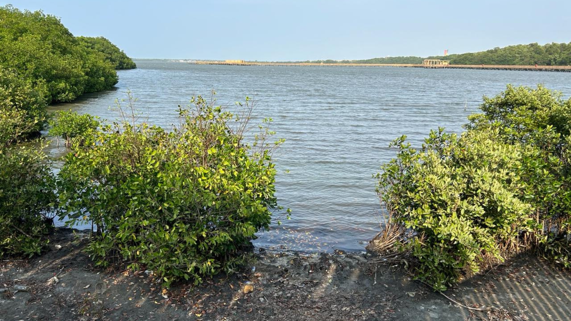 Cienaga de Mallorquin Barranquilla
