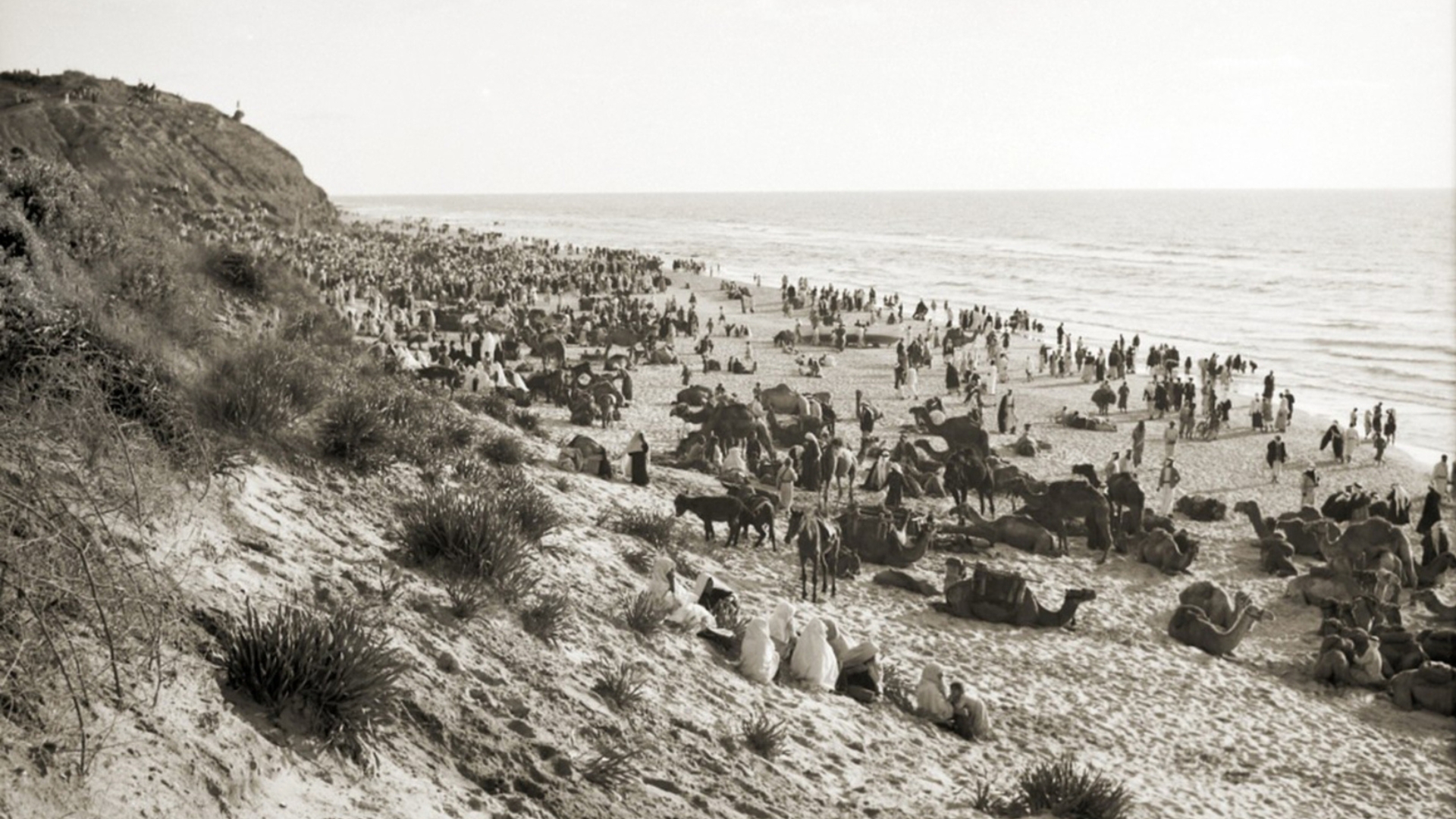 "Fake Lines: Sono Levant" (Gathering At Wady El Nemill, Gaza. 1943)