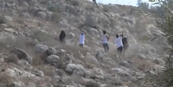 Cisgiordania screen video