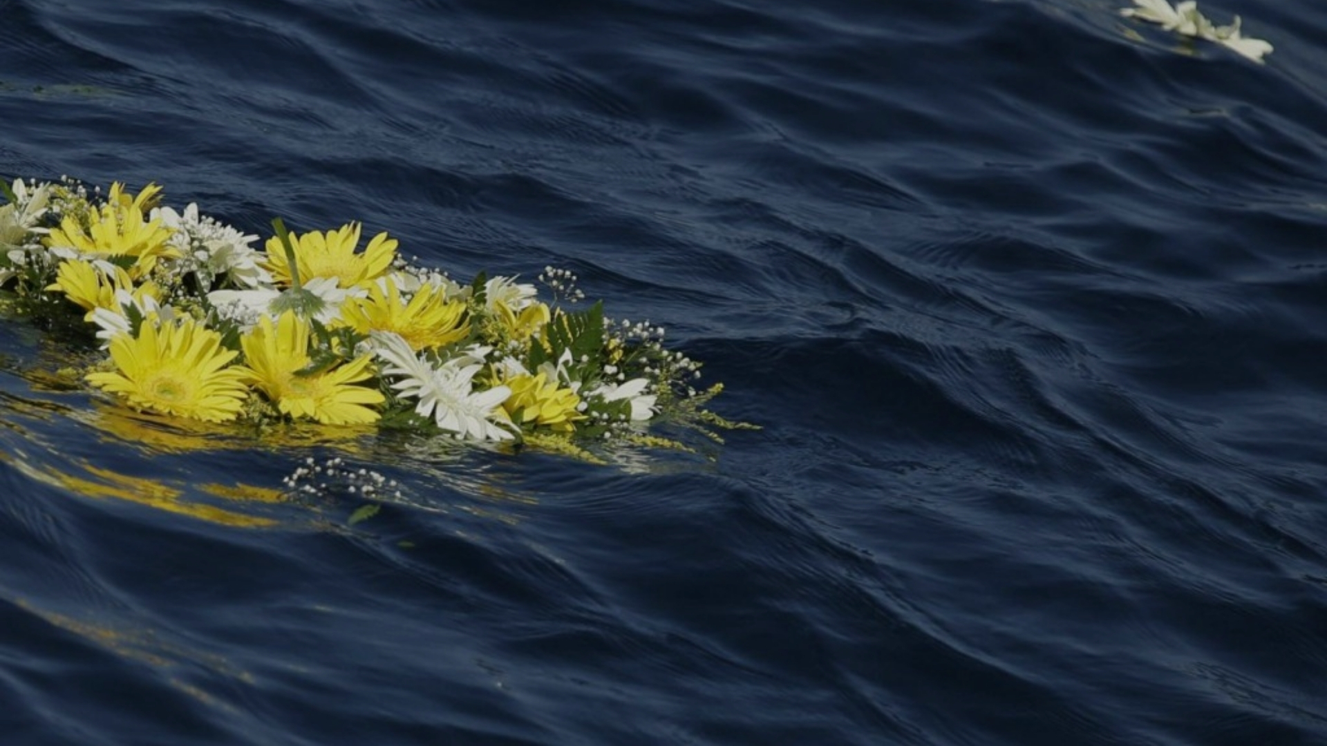 Fiori Lampedusa slider